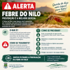 ⚠️ ALERTA | FEBRE DO NILO &mdash; PREVENIR &Eacute; PROTEGER!