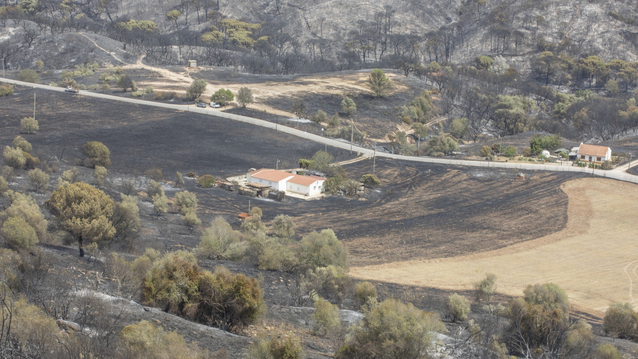 Apoios para atividade agrícola afetada pelo incêndio de 13 julho